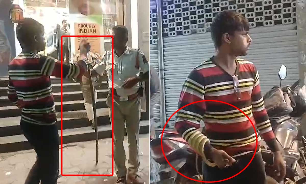 Drunk Driving Check Turns Dramatic in Hyderabad: Auto Driver Threatens Traffic Police with Snake