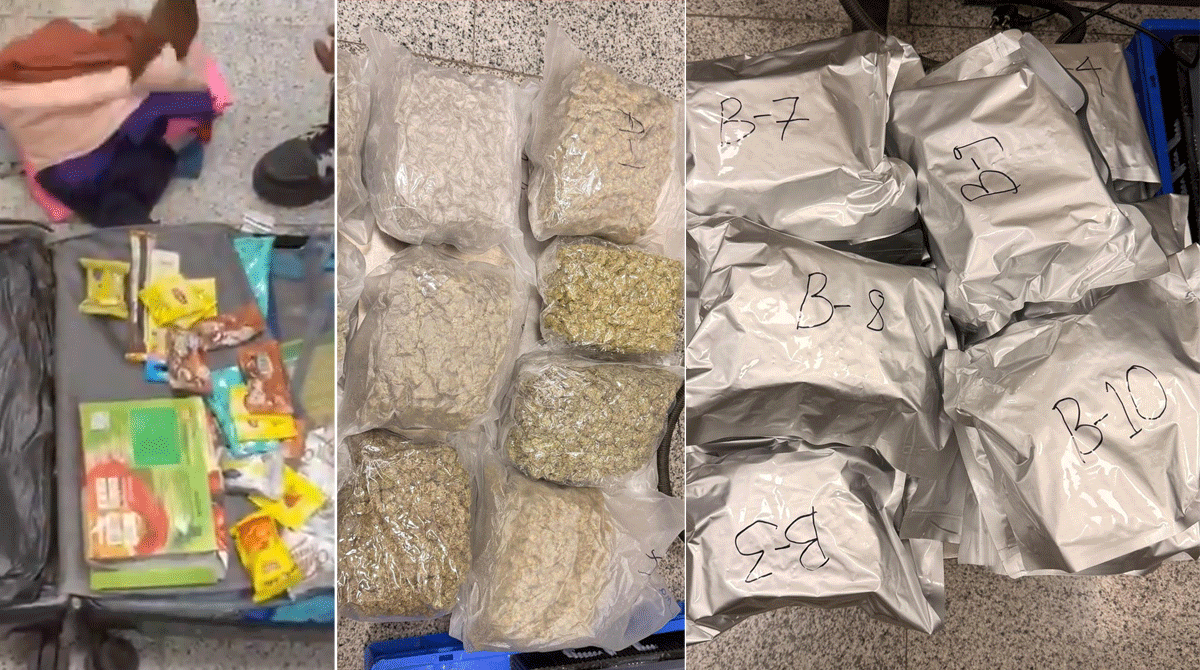 Major Drug Bust at Shamshabad Airport: ₹9.5 Crore Hydroponic Cannabis Seized