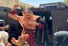 Pakistan's problem is with Baloch identity not resistance: Human rights activist