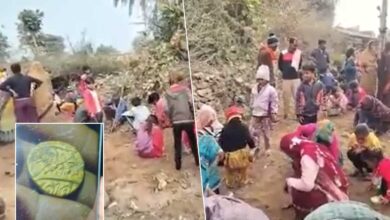 Hidden Treasure in the Soil Near Rajgarh Palace? Why a Whole Village Is Digging Day and Night