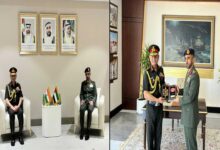 India and UAE focus on enhancing 'positive military engagement'