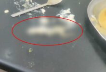 Lizard Found in Chutney in Tiffin Centre, 8 Fall Ill Including Two Children