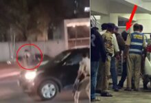 Mehdipatnam Drunken Driving Case: Man Threatens Police with Knife Near NMDC, Arrested After Brief Standoff