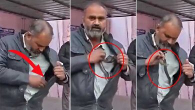 Snakebite Victim Reaches Hospital with Live Snake Hidden in His Shirt, Video Goes Viral on Social Media