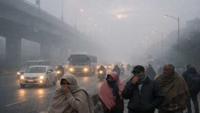 Severe Cold Wave to Return in Telangana and AP From Jan 5, Weather Expert Issues Alert