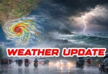 Weather Update: Cold Intensity Drops in Telugu States, IMD Predicts Rain