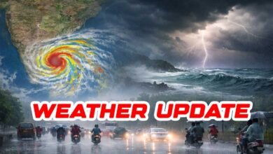 Weather Update: Cold Intensity Drops in Telugu States, IMD Predicts Rain