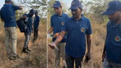 All India Tiger Estimation 2026 Begins in Rangareddy, Carnivore Survey Underway in Chevella Forests