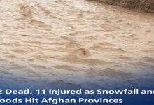 Flooding kills 12, injures 11 in Afghanistan