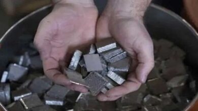 India has deeper investment opportunities for critical minerals in Venezuela: Report