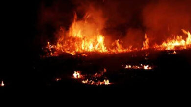 Death toll in massive fire in Kolkata warehouse rises to 7 (2nd lead)