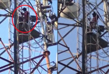Youth Climbs Cell Tower After Election Cash Is Stolen