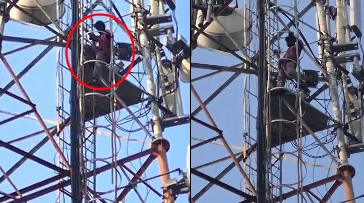 Youth Climbs Cell Tower After Election Cash Is Stolen