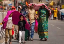 Temperatures Begin to Rise in Telangana as Cold Spell Ends