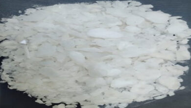 Sealed borders push Dawood Syndicate to ramp up local drug production