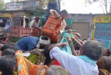Distressed Farmers Distribute 1,200 Kg of Tomatoes for Free in Telangana’s Mahabubabad
