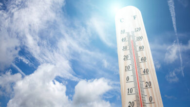 Temperatures Rise Gradually in Andhra Pradesh