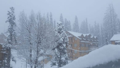 Night temperatures improve marginally in Srinagar, Gulmarg still frozen at minus 8 degrees Celsius