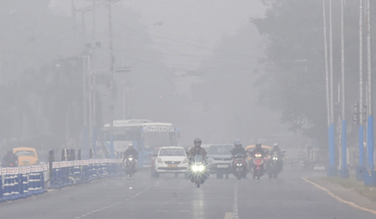 Winter chill returns to Kolkata as minimum temperature dips to 14 degrees C