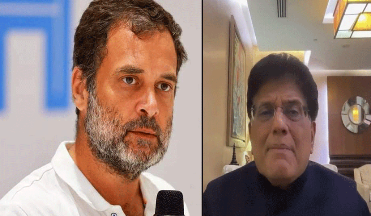 Rahul Gandhi immature, lacks understanding of economy, says Goyal on Cong leader's textile remarks