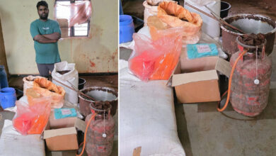 Hyderabad Tea Powder Adulteration Racket Busted: Task Force Seizes Huge Stock in Sanath Nagar Raid