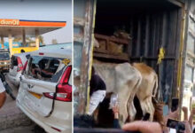 Aramghar Junction Tension: Traffic Jam After Cow Transport Row in Rajendranagar