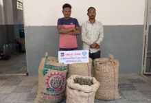 Hyderabad Drug Bust: Task Force Nabs Two With 70 Kg Dry Ganja Worth ₹35 Lakh