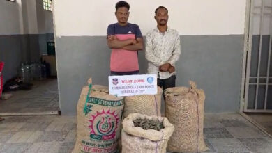 Hyderabad Drug Bust: Task Force Nabs Two With 70 Kg Dry Ganja Worth ₹35 Lakh