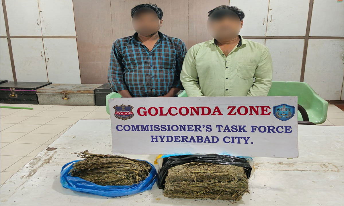 Hyderabad Ganja Peddler Arrest: 5.1 Kg Narcotics Seized in Gudimalkapur Police Operation