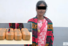 Hyderabad Police Arrest Woman With 11.4 Kg Dry Ganja Worth ₹5.7 Lakh in SR Nagar