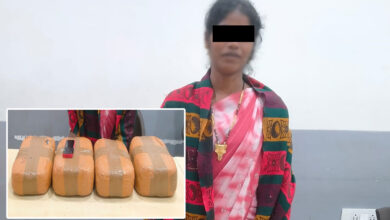 Hyderabad Police Arrest Woman With 11.4 Kg Dry Ganja Worth ₹5.7 Lakh in SR Nagar