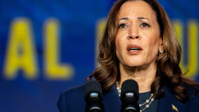 Kamala Harris calls Trump's State of the Union address ‘full of lies’