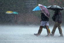 Moderate rain likely along TN Western Ghats; dry weather to continue in rest