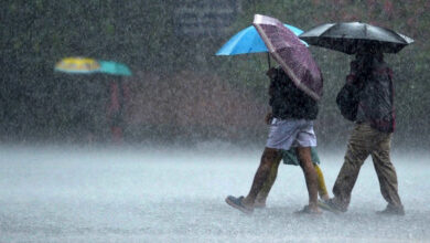 Moderate rain likely along TN Western Ghats; dry weather to continue in rest