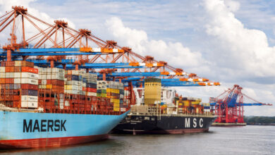 Govt extends export relief measures till March 31 amid Strait of Hormuz disruption