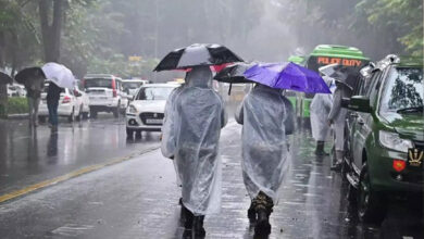 Rain brings relief across Delhi-NCR; IMD issues yellow alert