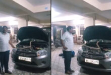 Venomous Cobra Found Inside Car Engine, Shocks Owner in Andhra Pradesh