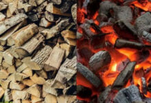 LPG Shortage in Hyderabad Boosts Demand for Firewood and Coal