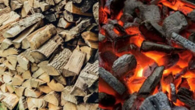 LPG Shortage in Hyderabad Boosts Demand for Firewood and Coal