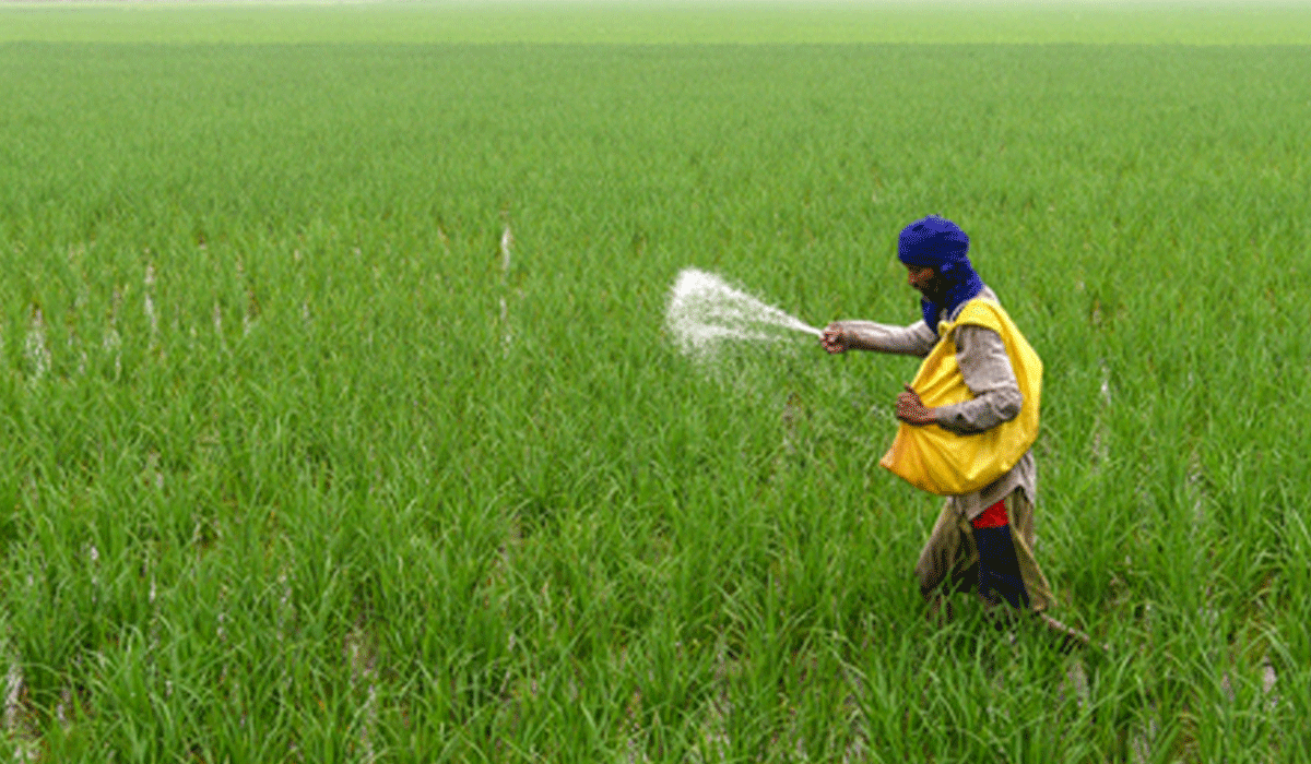 Transfer to farmers under PM-KISAN scheme shoots past Rs 4.27 lakh crore