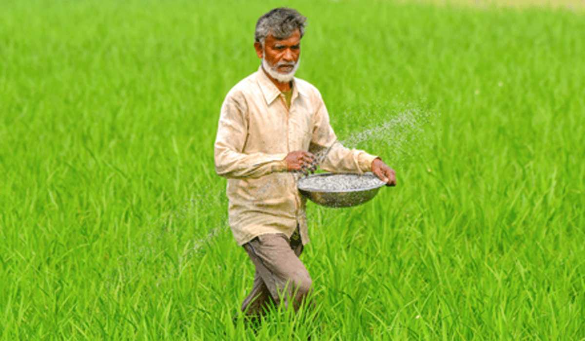 Govt assures steady fertiliser supplies through import diversification, capacity expansion