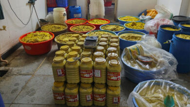 Hyderabad Task Force Busts Adulterated Ginger Garlic Paste Unit in Tappachabutra, 1,155 Kg Seized