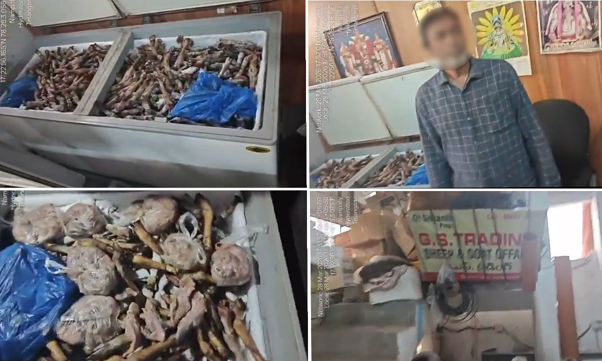 Hyderabad Adulterated Meat Racket Busted: Golconda Task Force Raids Shop Selling Spoiled Mutton in Gosha Mahal
