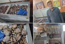 Hyderabad Adulterated Meat Racket Busted: Golconda Task Force Raids Shop Selling Spoiled Mutton in Gosha Mahal