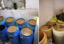 Hyderabad Adulterated Pickle Unit Busted: Kulsumpura Police Seize 72 Drums, Two Arrested in Jiyaguda