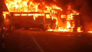 Andhra Pradesh Bus Accident: 14 Dead After Private Bus Collides with Tipper Truck Near Markapuram