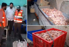 800 Kg Stale Chicken Seized in Parsigutta Hyderabad: GHMC and Task Force Raid Exposes Supply to Bars and Restaurants