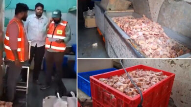 800 Kg Stale Chicken Seized in Parsigutta Hyderabad: GHMC and Task Force Raid Exposes Supply to Bars and Restaurants