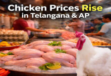 Chicken Prices Rise in Telangana and AP, Rates Jump by ₹40–₹50 Per Kg