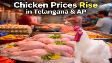 Chicken Prices Rise in Telangana and AP, Rates Jump by ₹40–₹50 Per Kg